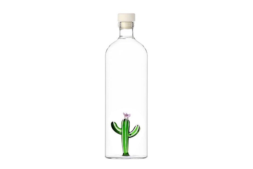 Bottle Desert Plants Cactus Green Ichendorf