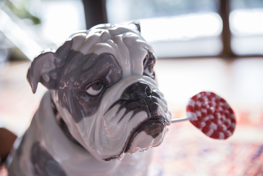 Bulldog con leccalecca porcellana Lladro'
