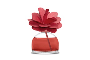 Fragrance Diffuser Flower Orange and Cinnamon Muhà