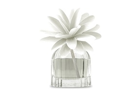 Fragrance Diffuser Flower Iris Chypre Muhà