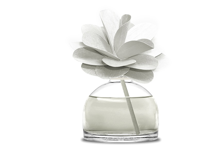 Fragrance Diffuser Flower Iris Chypre Muhà