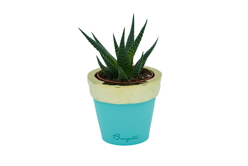 Vase with plant blue and gold Selezione Zanolli