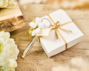 Apribottiglie classico Elegance silver plated con ciuffo portaconfetti Selezione Zanolli