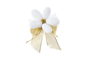 Favor gold Selezione Zanolli