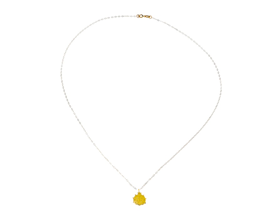 Catenina oro 750‰ con ciondolo coccinella Selezione Zanolli