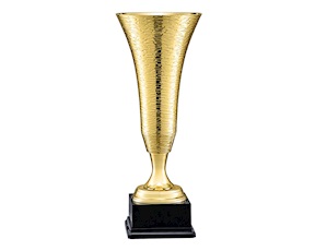 Cup Selezione Zanolli