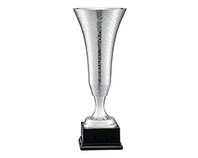 Cup Selezione Zanolli