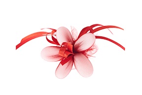 Favor red Selezione Zanolli