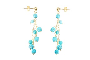 Earrings silver with turquoise howlite Selezione Zanolli