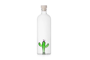 Bottle Desert Plants Cactus Green Ichendorf