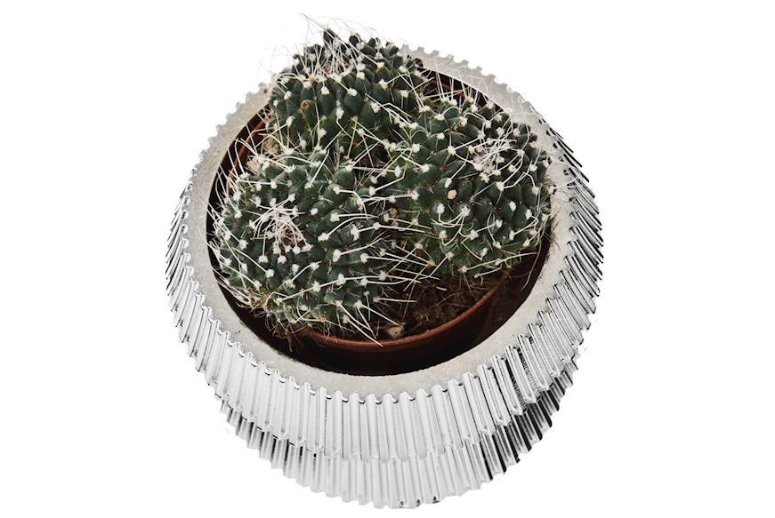 Vasetto con piantina Design Selezione Zanolli
