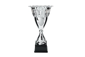 Coppa Selezione Zanolli