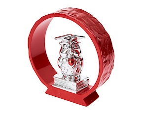 Idea regalo Laurea Gufo