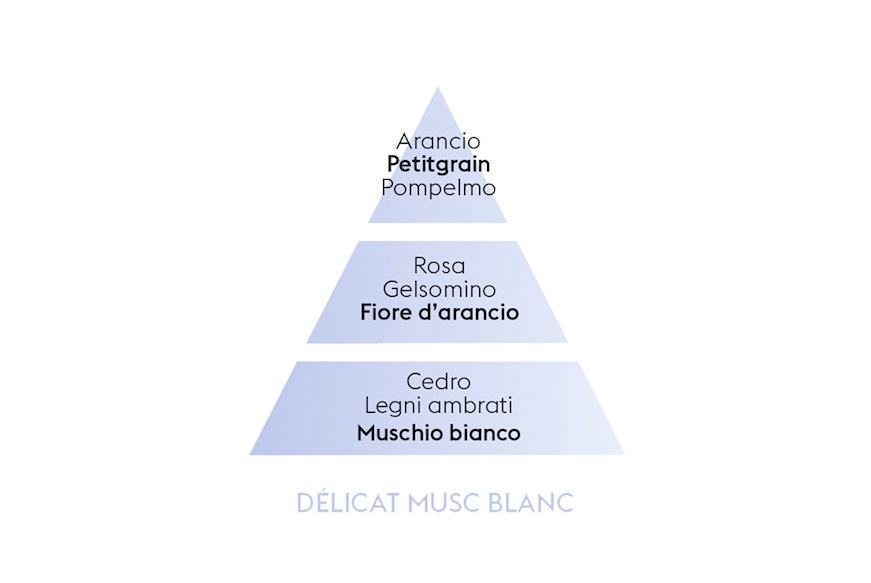 Home fragrance Delicat Musc Blanc Maison Berger Paris