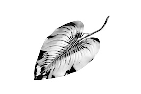 Placeholder Calla silver Selezione Zanolli