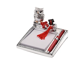 Idea regalo Laurea Memostick Gufo della Laurea con penna Selezione Zanolli