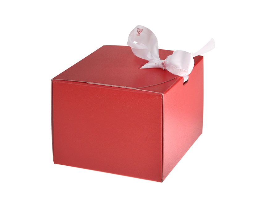 Idea regalo Laurea Memostick Gufo della Laurea con penna Selezione Zanolli