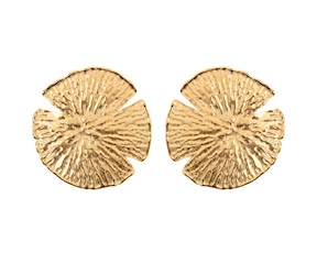 Earrings silver Selezione Zanolli