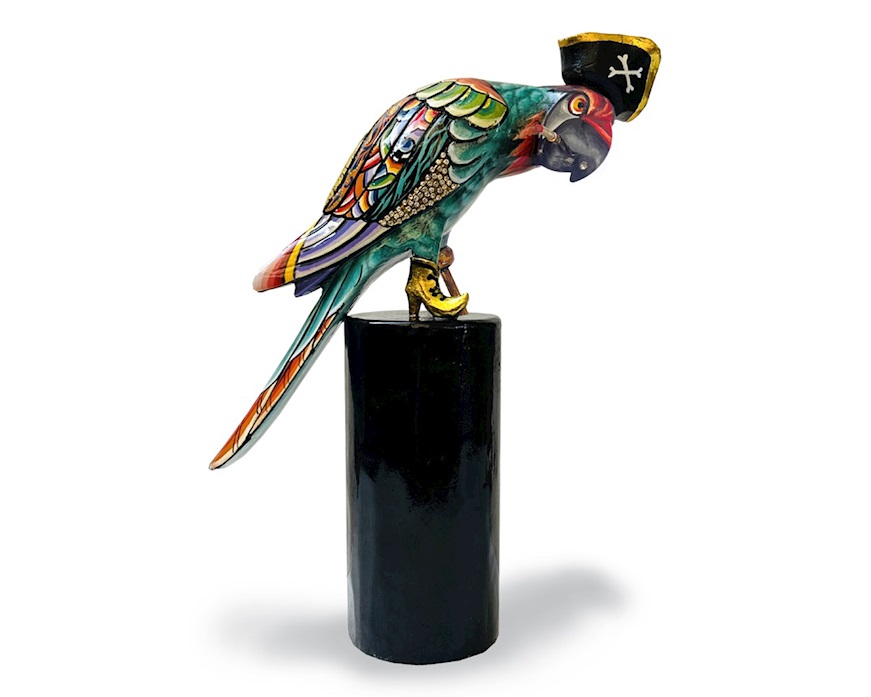 Pappagallo pirata S Capitano Jack S. Tom's Drag