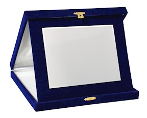 Targa argento con astuccio Selezione Zanolli