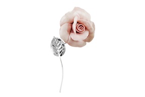 Rosa Capodimonte argento rosa Selezione Zanolli