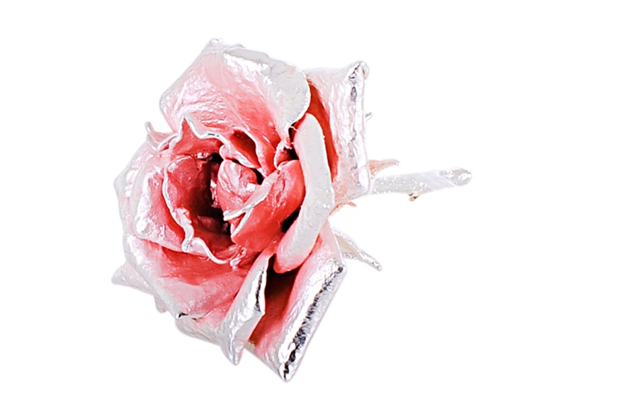 Rose pink nacre enamel Selezione Zanolli