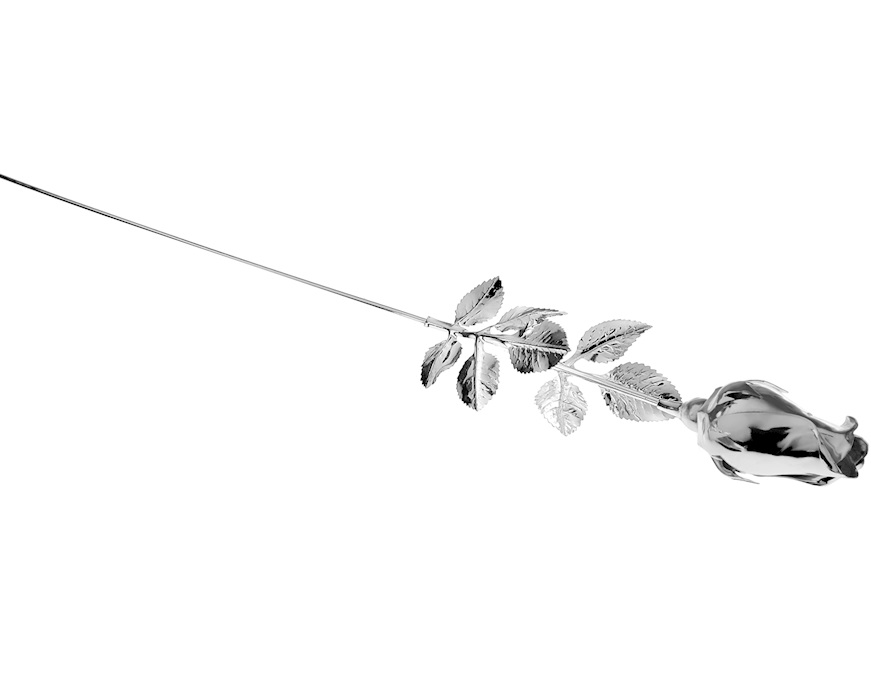 Bomboniera Rosa argento Selezione Zanolli