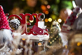 Usb Keychain 16 giga red Selezione Zanolli