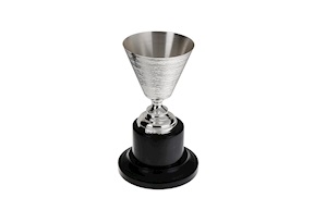 Coppa sportiva argento Selezione Zanolli