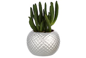 Vase with plant Selezione Zanolli