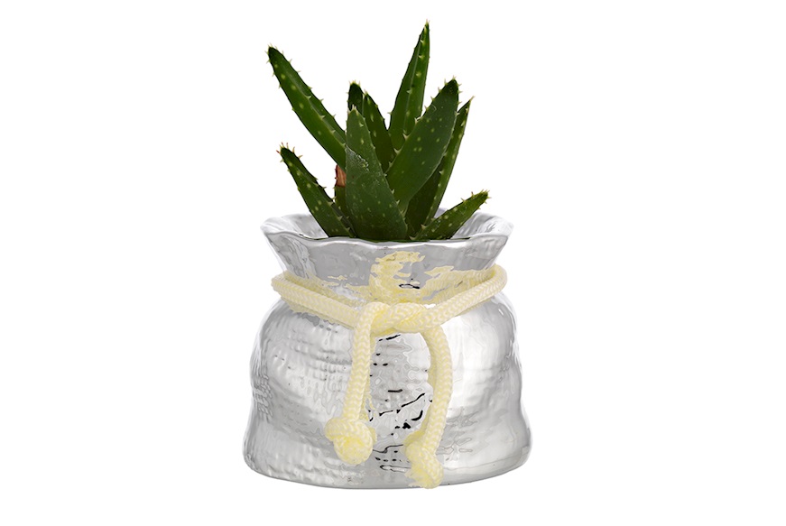 Vase with plant Selezione Zanolli