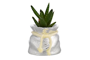 Vase with plant Selezione Zanolli