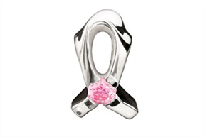 Charm Breast Cancer Program silver Chamilia
