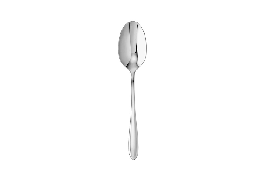 Fruit spoon Dream steel Sambonet
