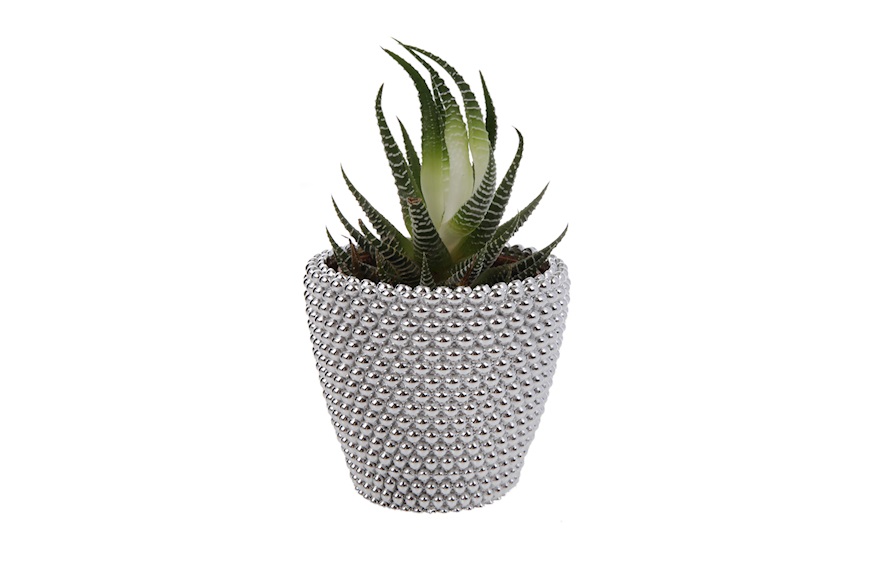 Vase with plant with balls decoration Selezione Zanolli