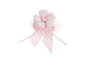 Favor Chocolate Dragees with pink bow Selezione Zanolli