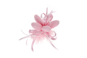 Favor Sugared Almonds with pink ribbons Selezione Zanolli