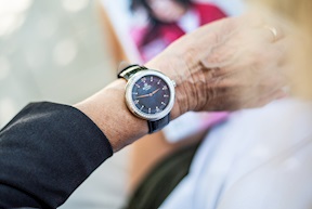 Orologio da polso donna acciaio con quadrante nero, ghiera di zirconi e cinturino in pelle Royal London