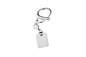 Keychain silver with plate and carabiner Selezione Zanolli