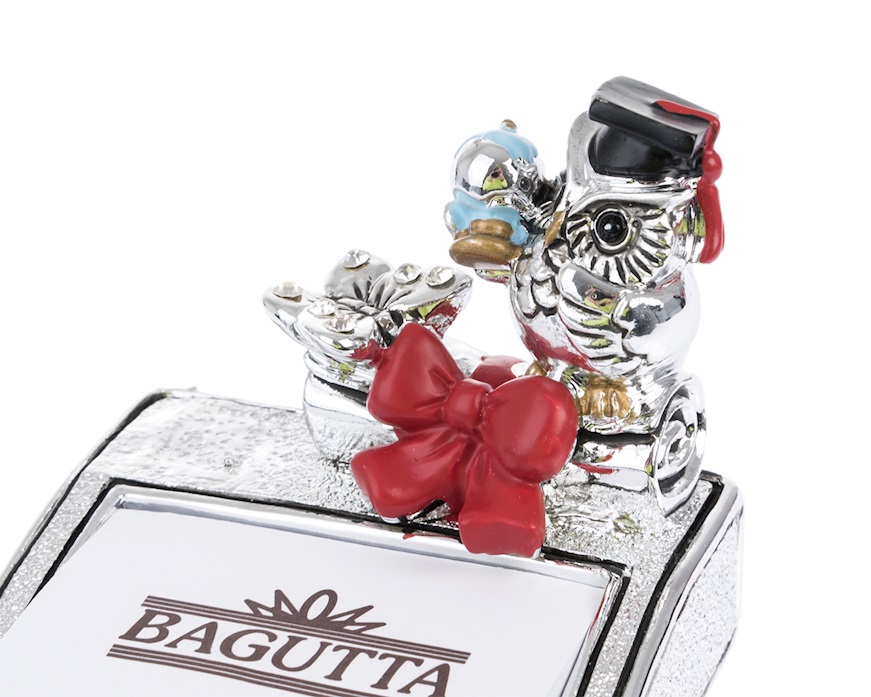 Idea regalo Laurea Memostick Gufo della Laurea Selezione Zanolli