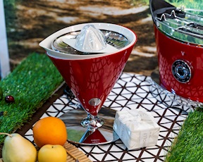 Squeezer Vita steel red Bugatti