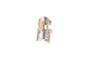 Ring Protezione silver Selezione Zanolli