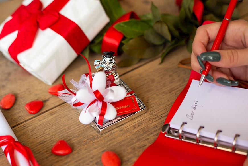 Bomboniera Laurea Memostick Gufo della Laurea con sacchetto portaconfetti Selezione Zanolli
