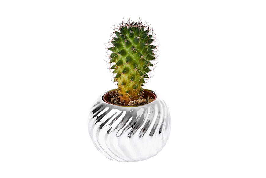Vase with plant Selezione Zanolli