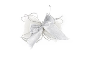 Favor Sugared Almonds silver bow Selezione Zanolli