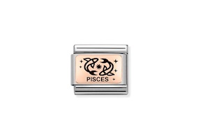 Pisces Composable steel rosegold and black enamel Nomination