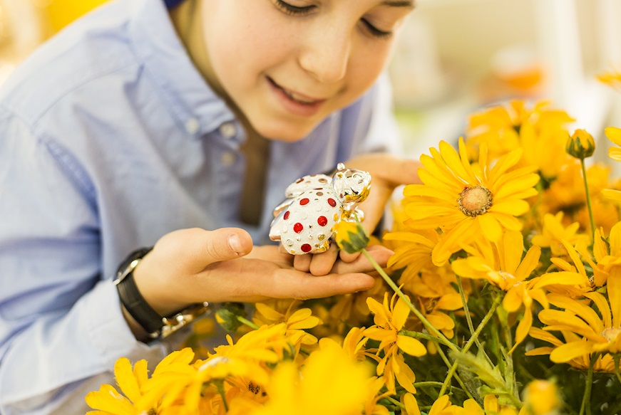 Ladybug with red pois and sugared almonds Selezione Zanolli