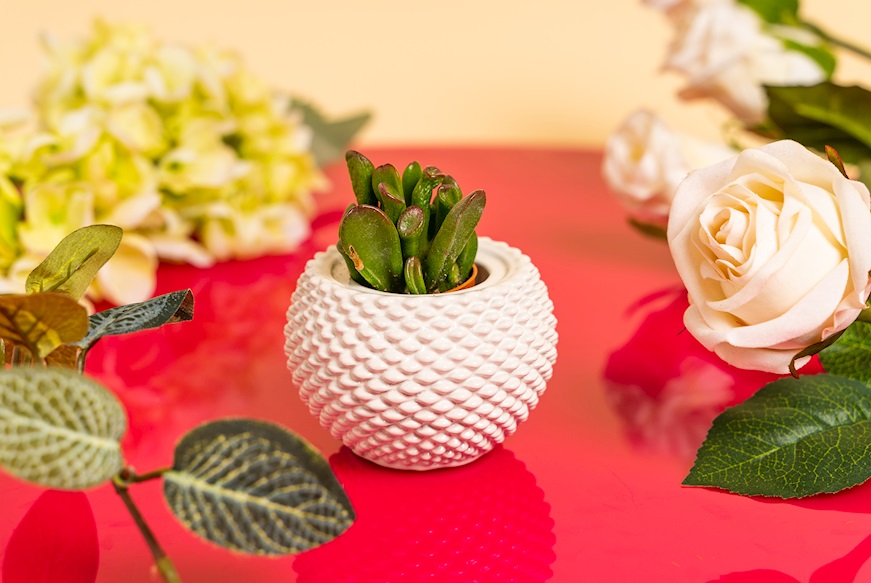 Vase with plant white Selezione Zanolli