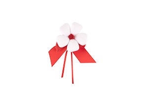 Favor Chocolate Dragees red bud with red bow Selezione Zanolli
