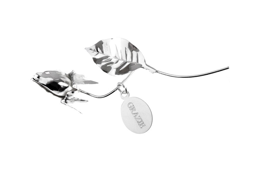 Rose silver Selezione Zanolli